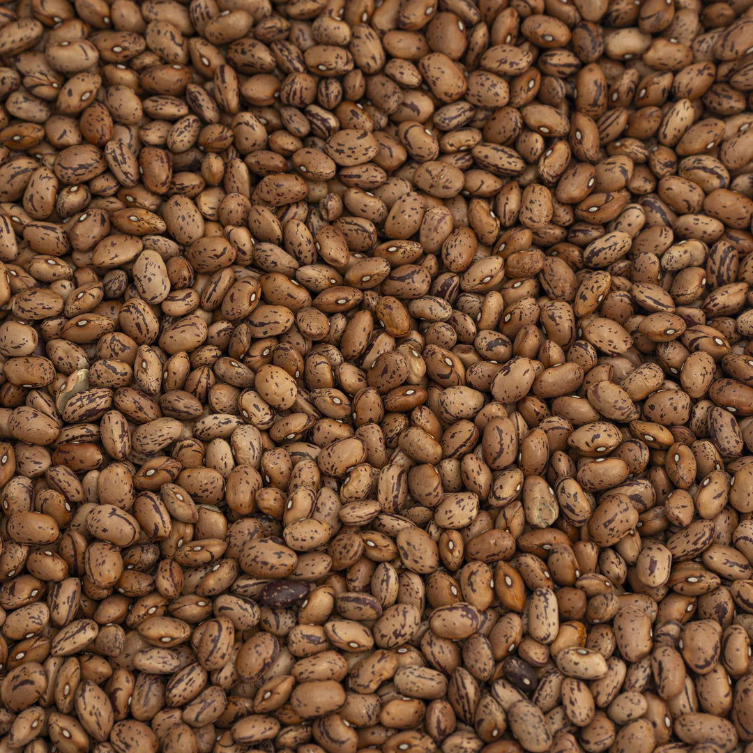 Organic Premium Italian Borlotti Lamon Beans (500g)