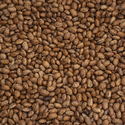 Organic Premium Italian Borlotti Lamon Beans (500g)