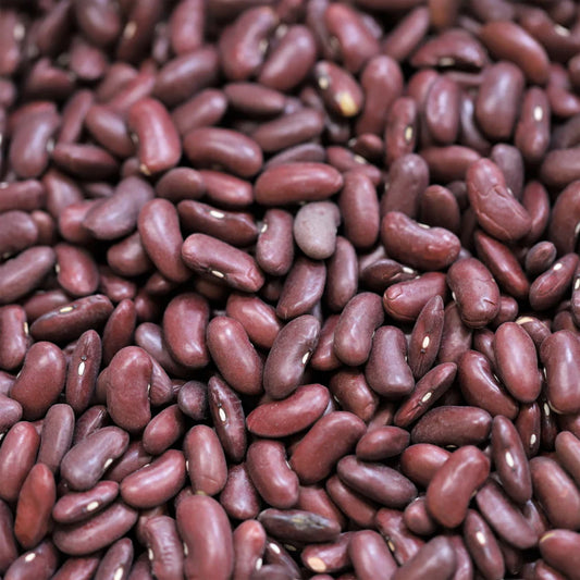 Organic Red Kidney Beans (500g)