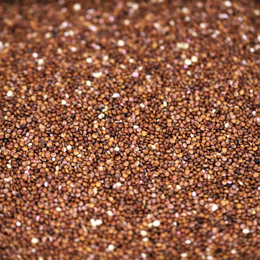 Organic Red Quinoa