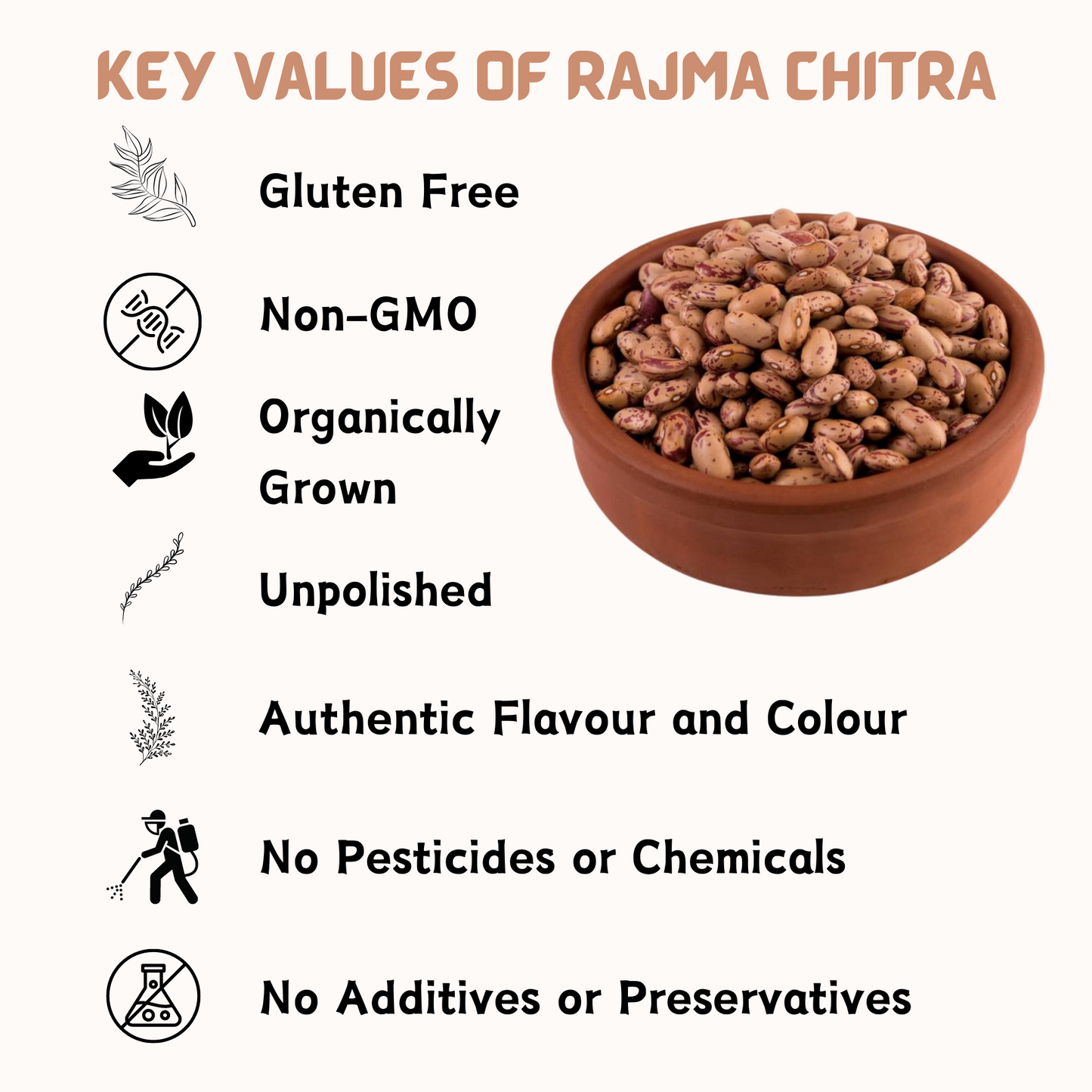 Organic Rajma Chitra 500gm