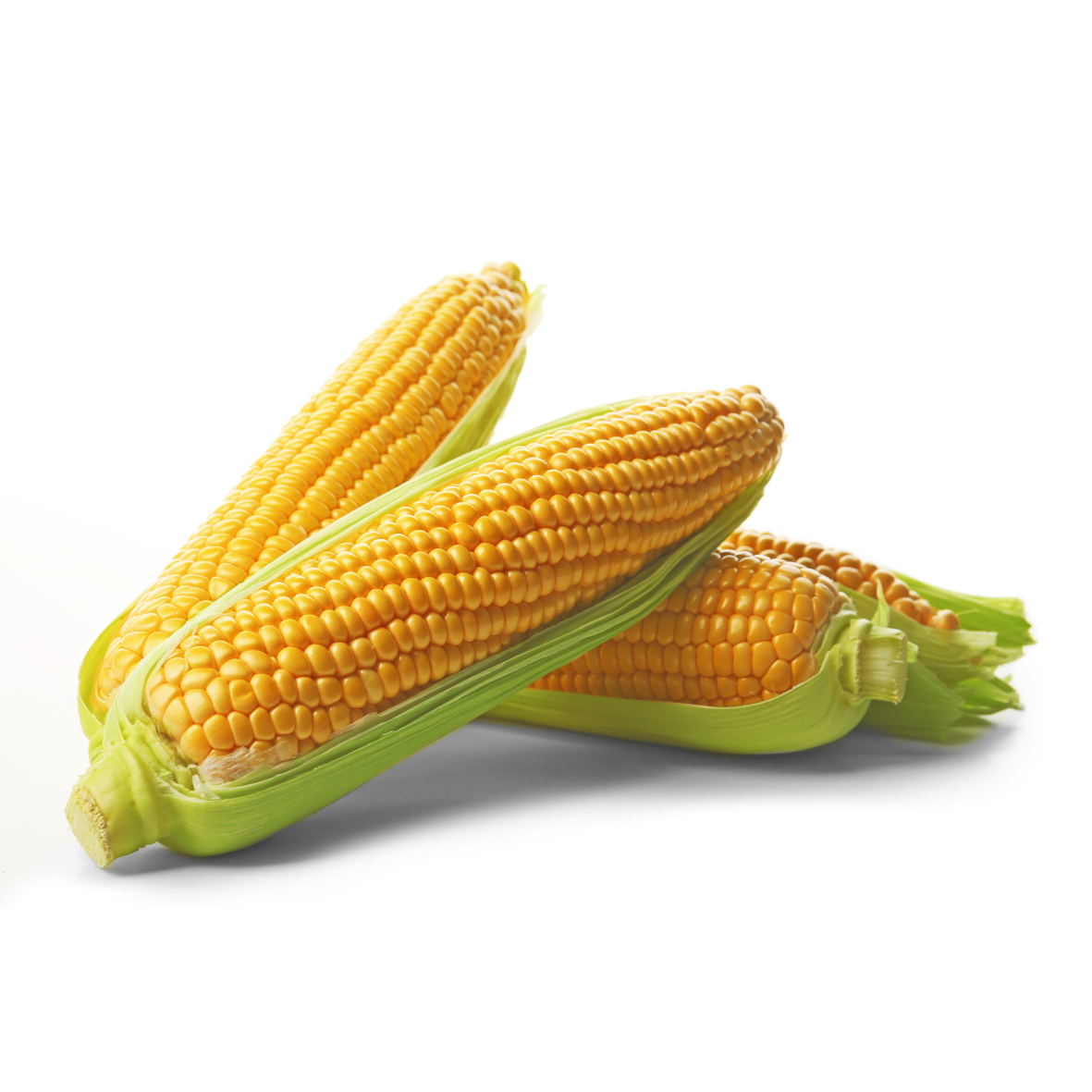 Sweet Corn