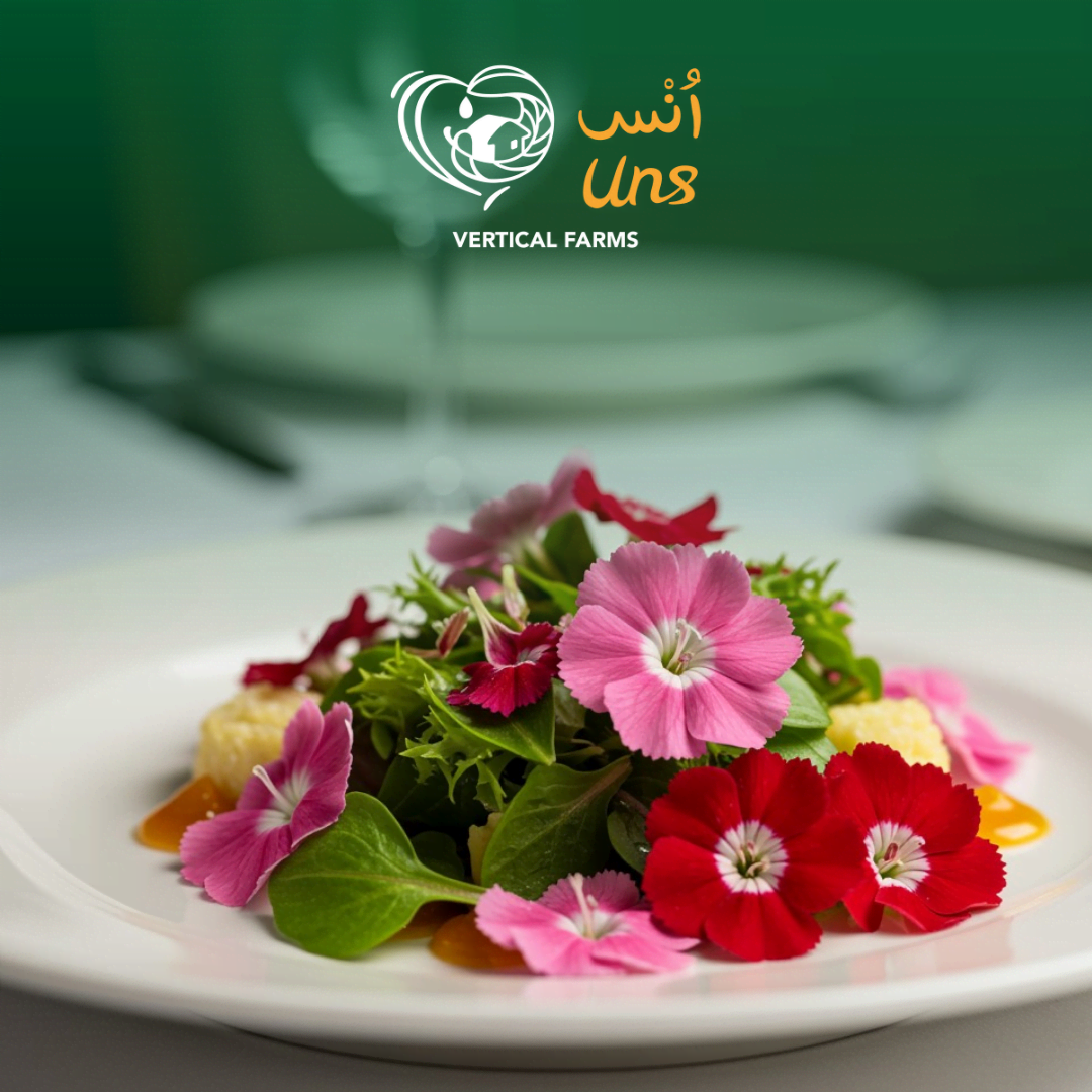 UNS Dianthus 20pcs