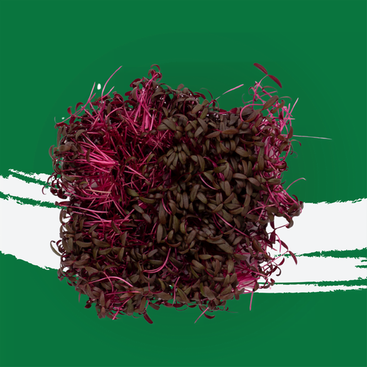 UNS Red Amaranth Microgreen 1300g.