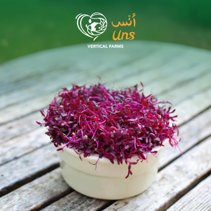 UNS Red Amaranth Microgreen 1300g.