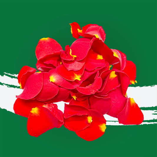 UNS Red Rose Petals 60pcs.