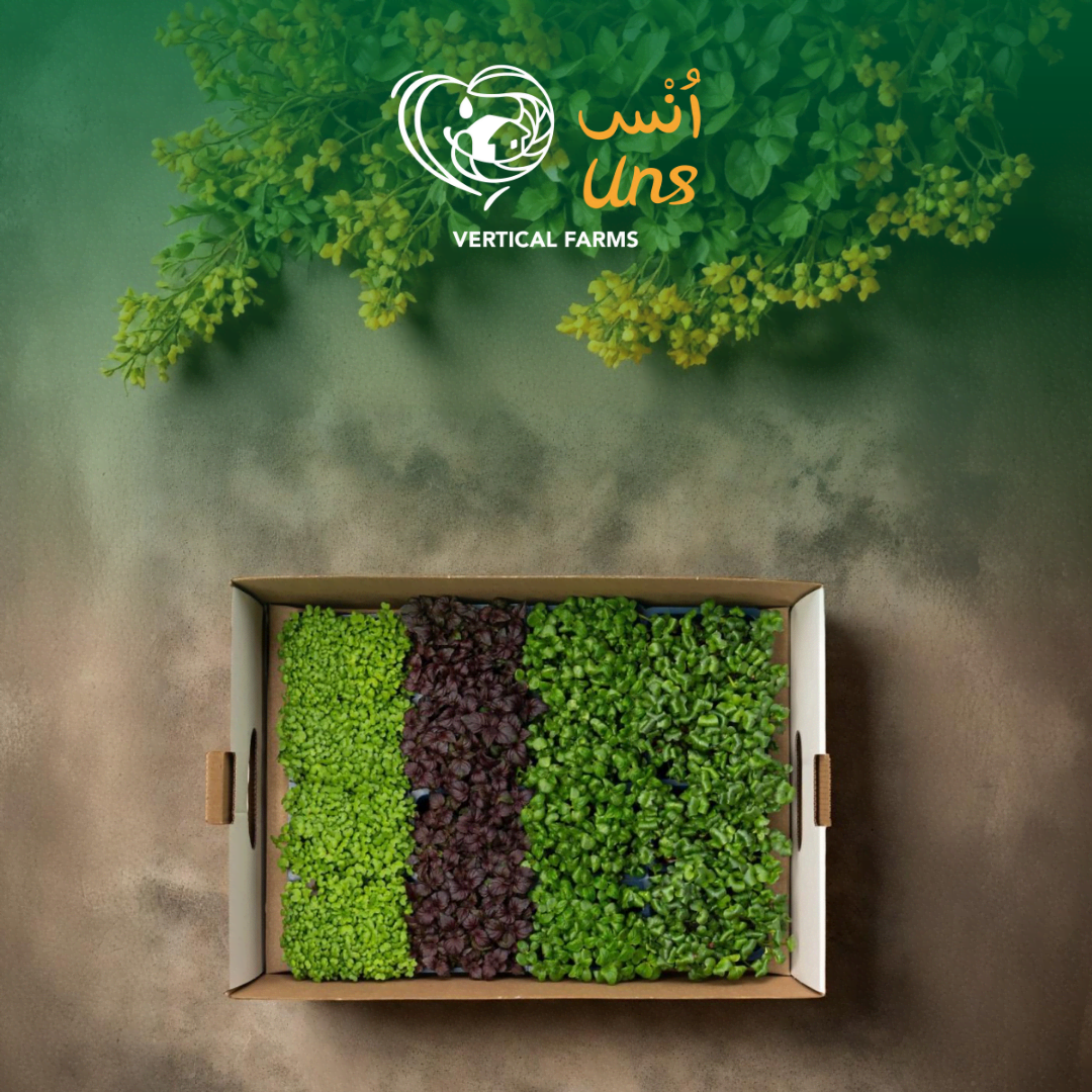 UNS Sisho Microgreen Mix 1300g.