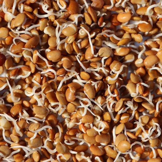 Horsegram Sprouts 200gm