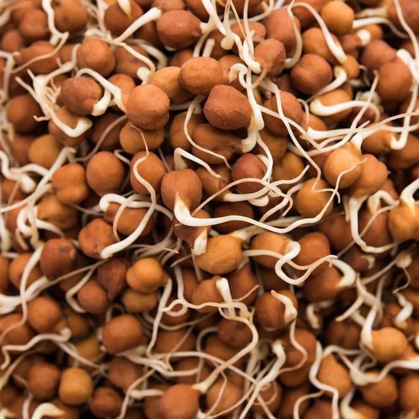 Brown Chickpea Sprouts 200gm