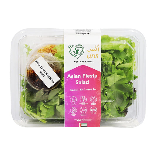 Asian Fiesta Salad 190gm