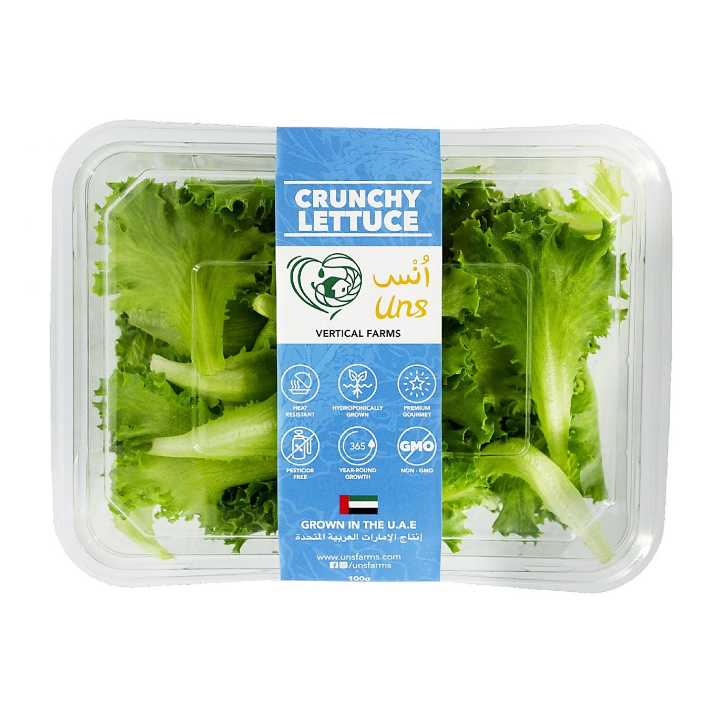 Crunchy Lettuce 100gm