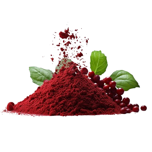 Natural Kokum Powder 50gm