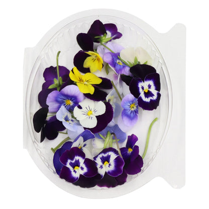 Gourmet Bloom Viola Flowers (20 pcs)