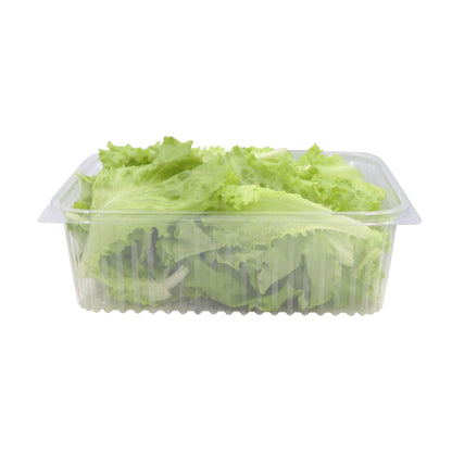 Green Batavia Lettuce 100gm