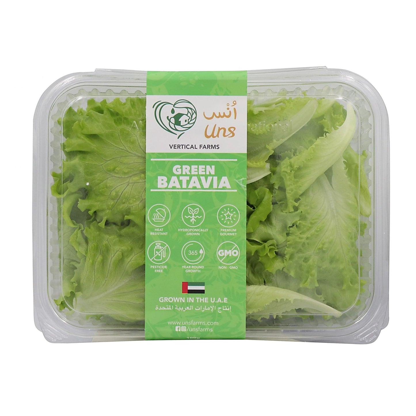 Green Batavia Lettuce 100gm