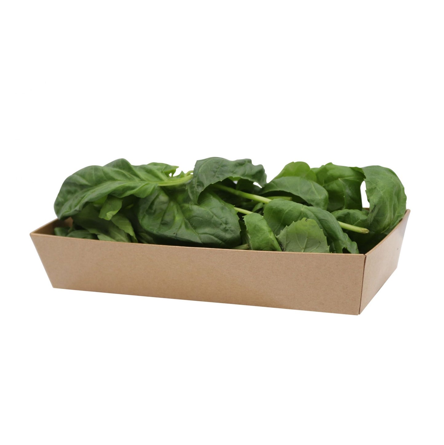 Italian Basil 50gm